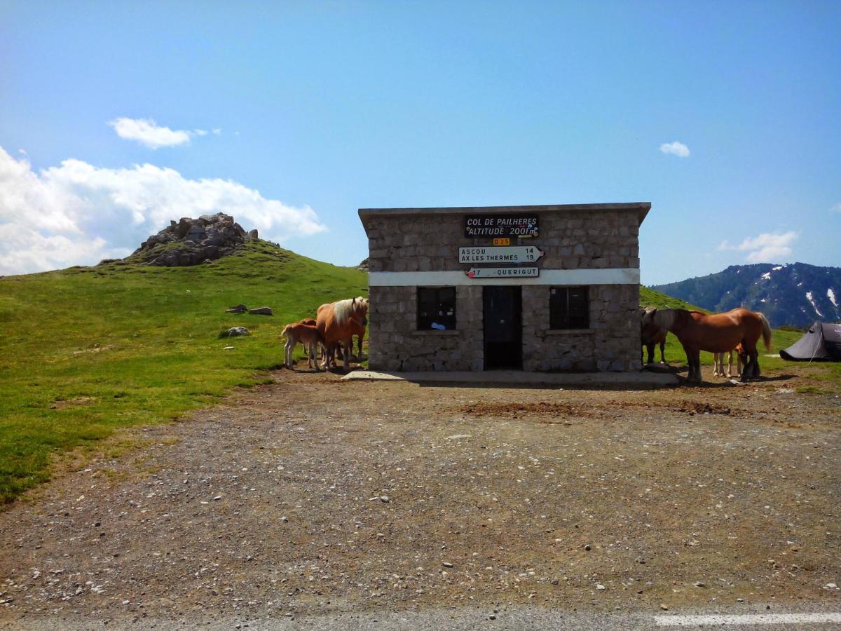 Gite Chaleureux Au Coeur Du Village Roquetaillade Dış mekan fotoğraf